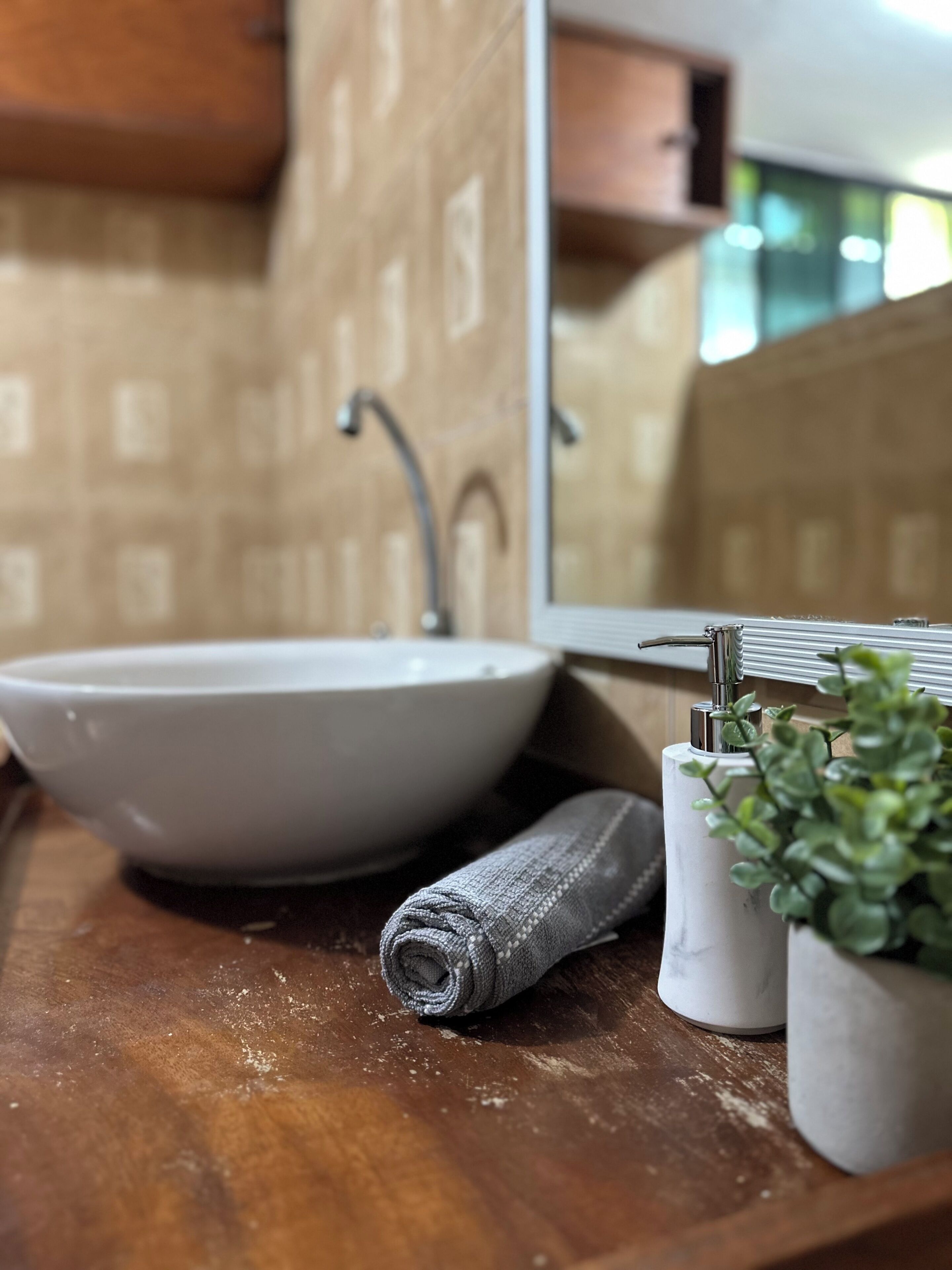A bathroom with a large white sink, a mirror, a towel, and a small potted plant.