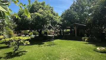House, Garden View | Property grounds