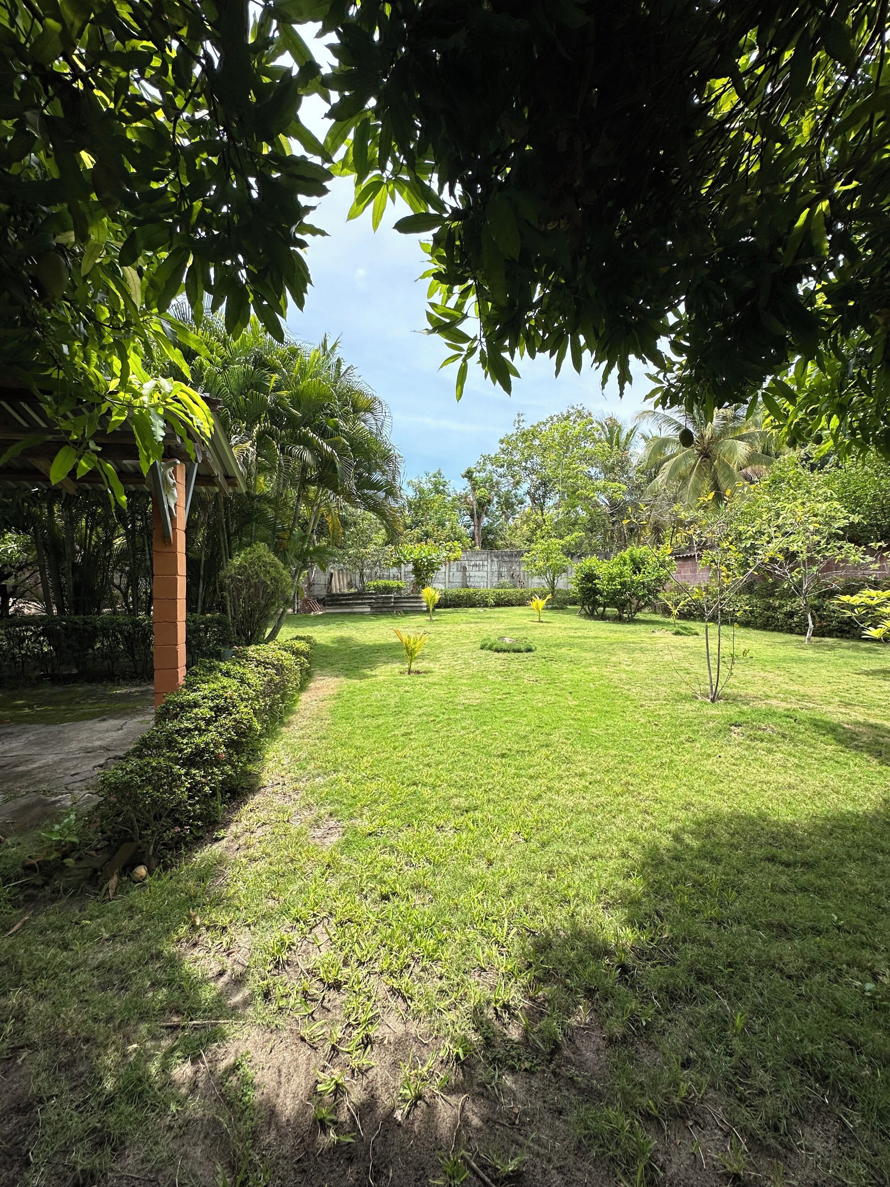 A well-maintained garden with a variety of trees and shrubs, a brick pathway, and a clear sky.