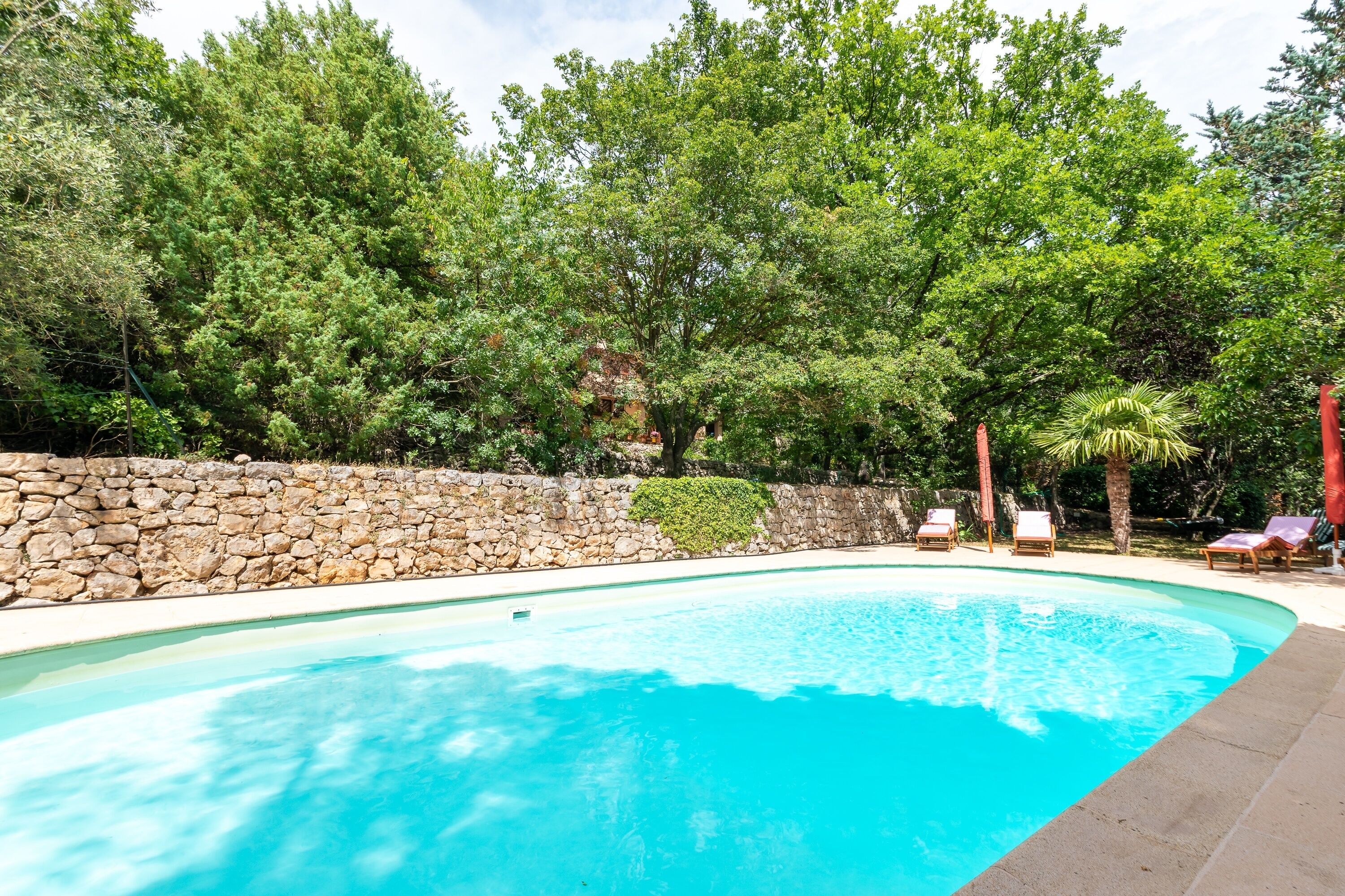 Una piscina con una pared de piedra y exuberante vegetación al fondo.