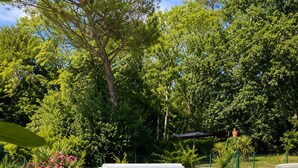 A pool area with a clear view of the water, surrounded by a well-maintained lawn and various plants. - Le Logis Bleu: A Haven of Peace in Occitan Tuscany (Puybegon)