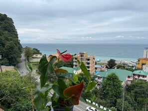 Luxury Apartment, Balcony, Sea View | Minibar, free WiFi, bed sheets - VillaSe (Kvariat'i)