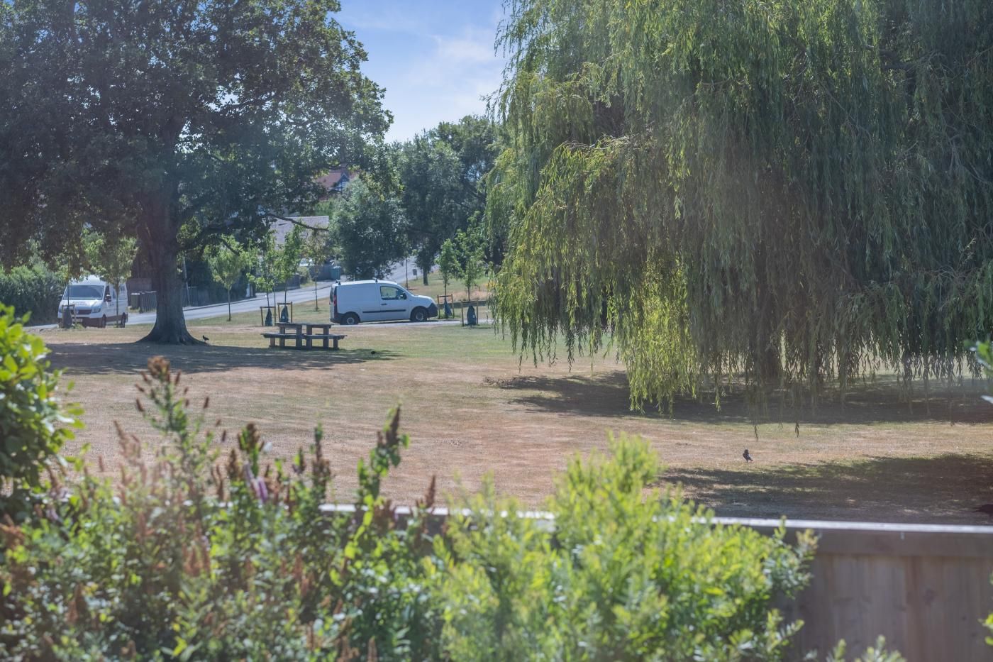 Un parque con una mesa de picnic, un árbol y coches estacionados.