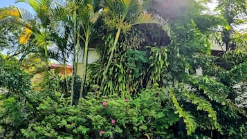 Piscina externa