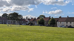 A grassy field with a soccer goal, houses in the background, and a partly cloudy sky.