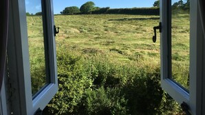Dos ventanas abiertas con vistas a un campo de hierba y árboles a lo lejos.