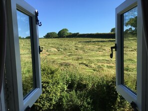 Two open windows with a view of a grassy field and trees in the distance. - 2 Bed in Kingston (oc-s43307) (Kingston)