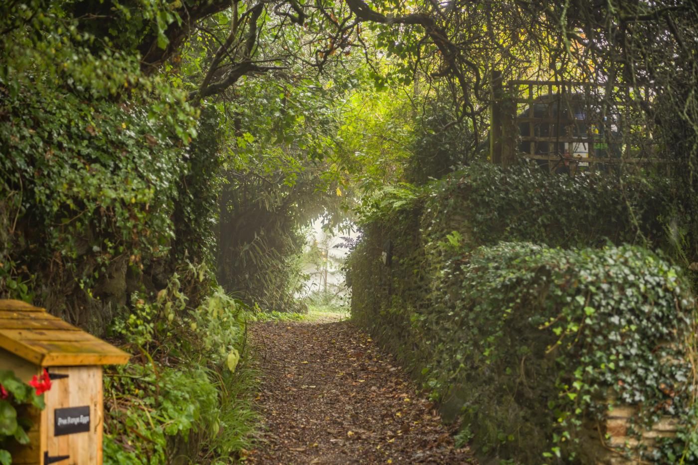 A narrow pathway surrounded by dense foliage, leading to a wooden structure with a sign.