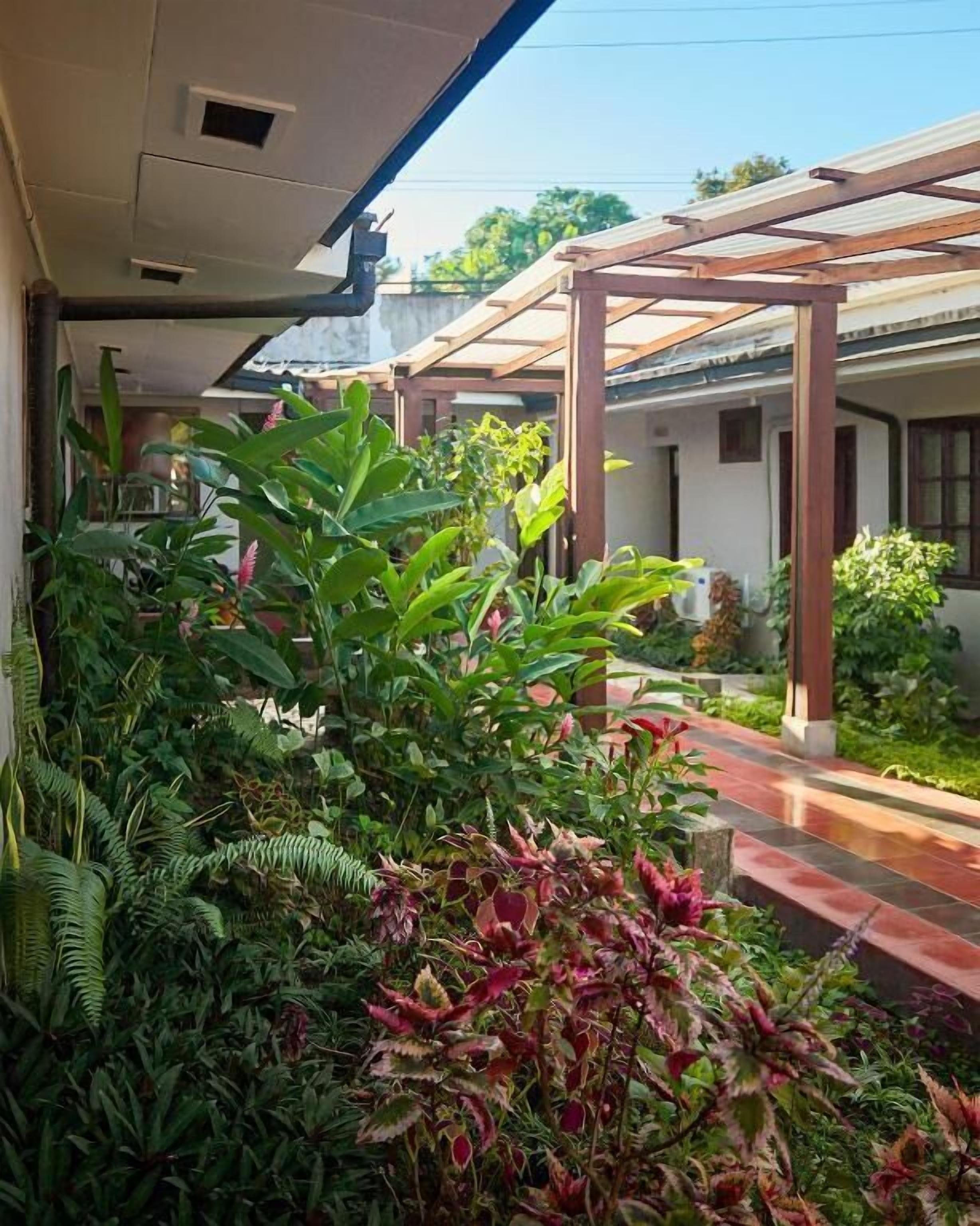 Un espacio exterior techado con estructura de pérgola, rodeado de abundante follaje y diversas plantas.