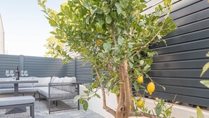 Un área de estar exterior moderna con una mesa, sillas, un banco acolchado y un pequeño limonero.