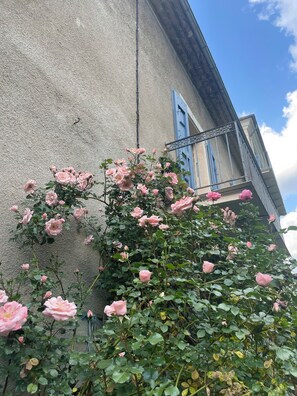 Detall de l'exterior