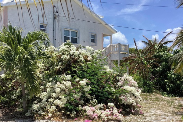 Condo, Non Smoking, Garden View | Garden view