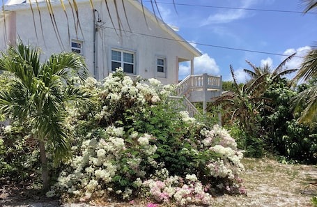 A house with a white exterior, a covered porch, and a garden with flowering bushes.