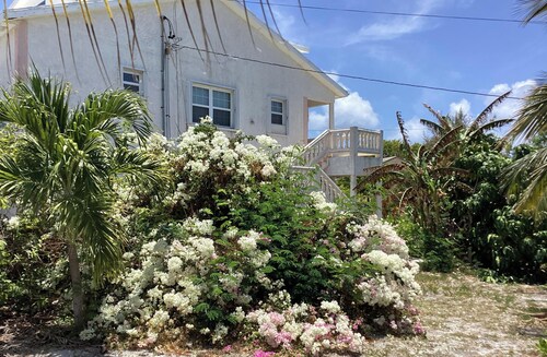 Colwin's Place C