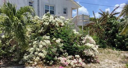 Colwin's Place C