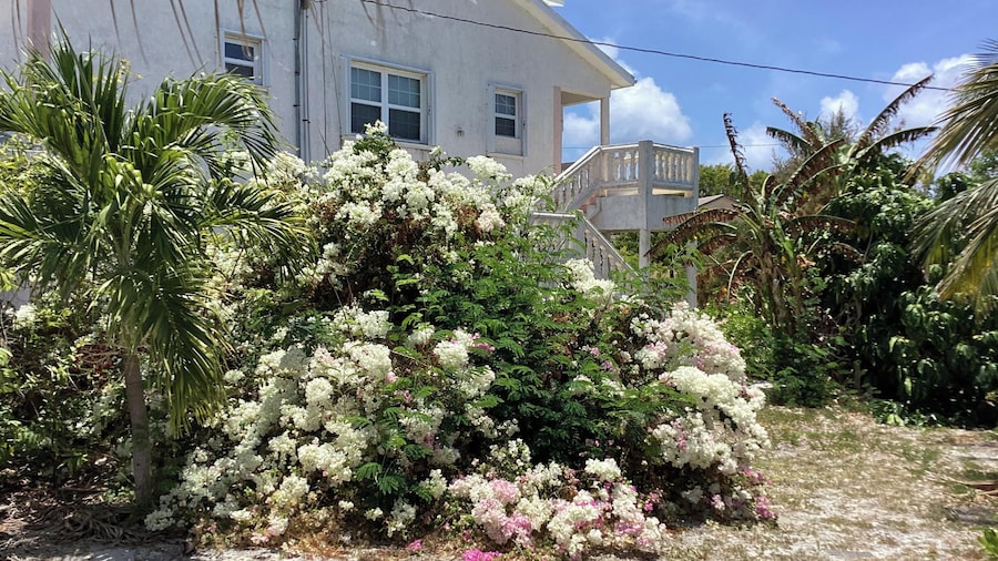 Colwin's Place C