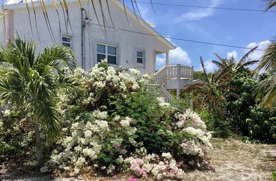 Colwin's Place C