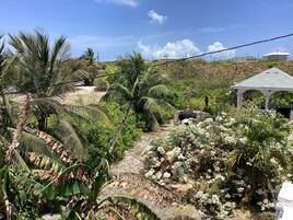 Un jardín con palmeras, un pabellón y un camino.
