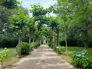 A gravel pathway flanked by trees and shrubs, leading to a distant structure.