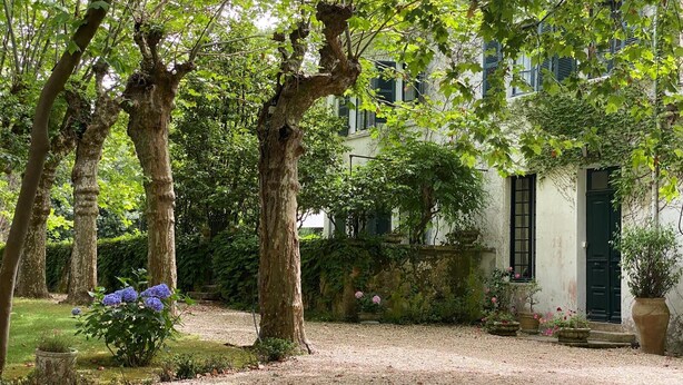 A courtyard with trees, a building with a green door, and potted plants. - La Grange House, a charming property with a pool - Sleeps 10 - 5 Cantons (Anglet)