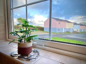 Ein Fenster mit einem Blumentopf auf der Fensterbank, ein Fensterrollo und ein Blick auf eine Wohngegend mit Häusern.