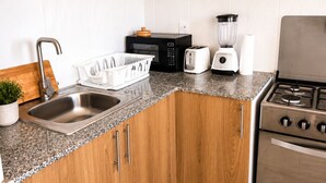 Una cocina compacta con armarios de madera, un lavamanos, una hornilla, un microondas, un tostador y una licuadora.