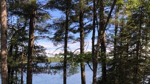 A forested area with a clear view of a lake, a pathway leading to a dock, and a small boat. - Beautiful 3 bed/2bath updated cabin w sandy swimmable frontage & great fishing (Eagle River)