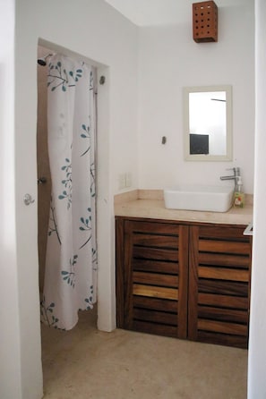Estudio familiar, se aceptan mascotas, planta baja | Baño | Regadera, toallas, jabón, shampoo 