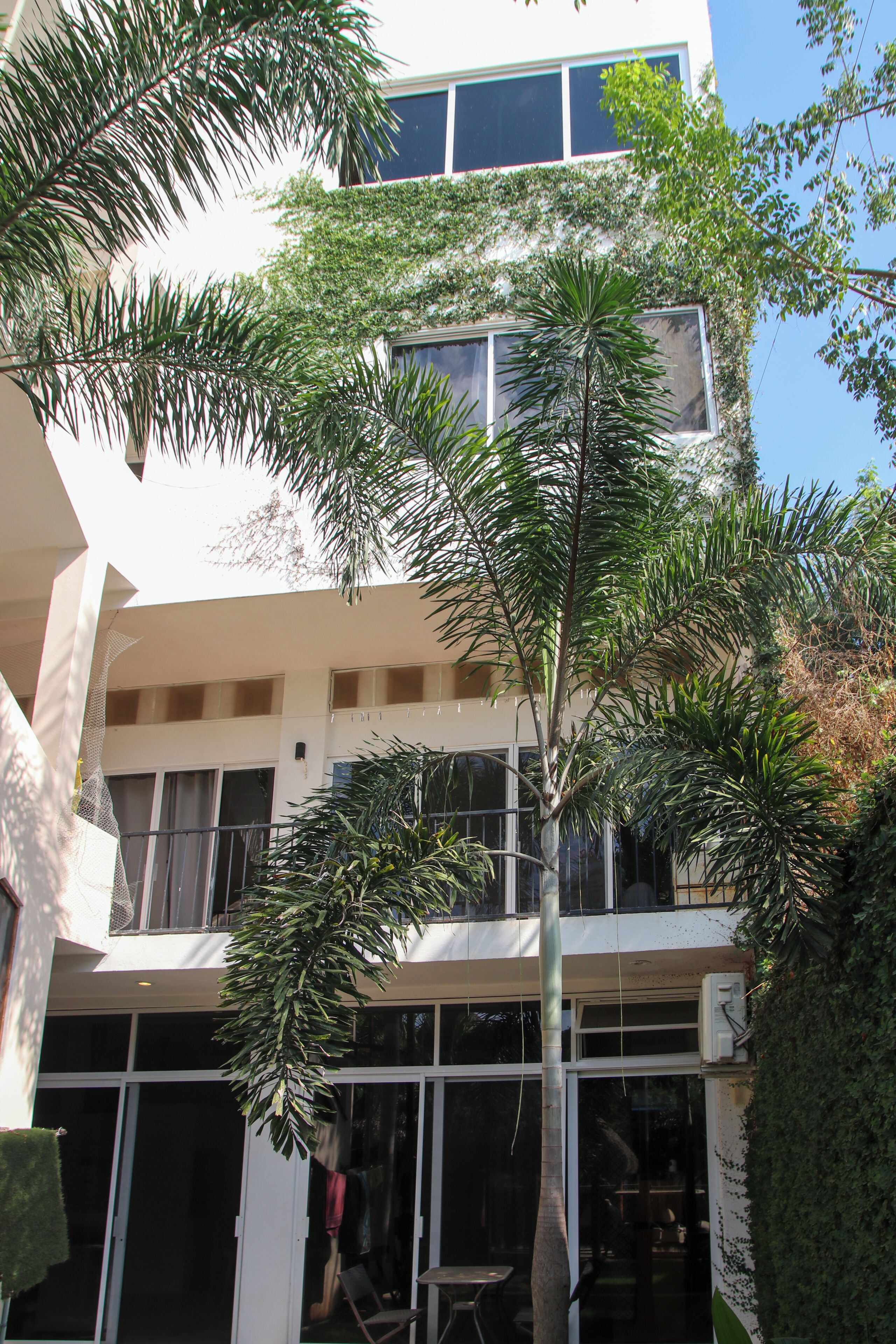 A multi-story building with large windows, a balcony, and a tree in the foreground.