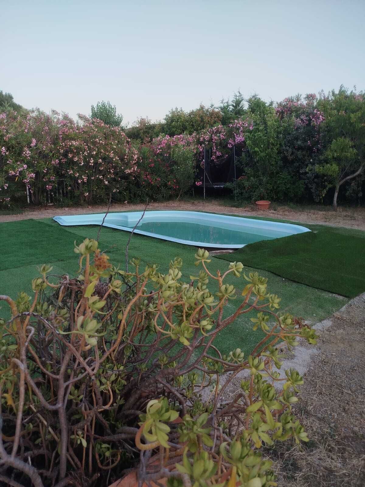Un jardin avec une piscine, une pelouse artificielle verte et des arbustes en fleurs.