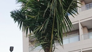 Un edificio moderno con balcones, rodeado de abundante vegetación y un jardín bien cuidado.