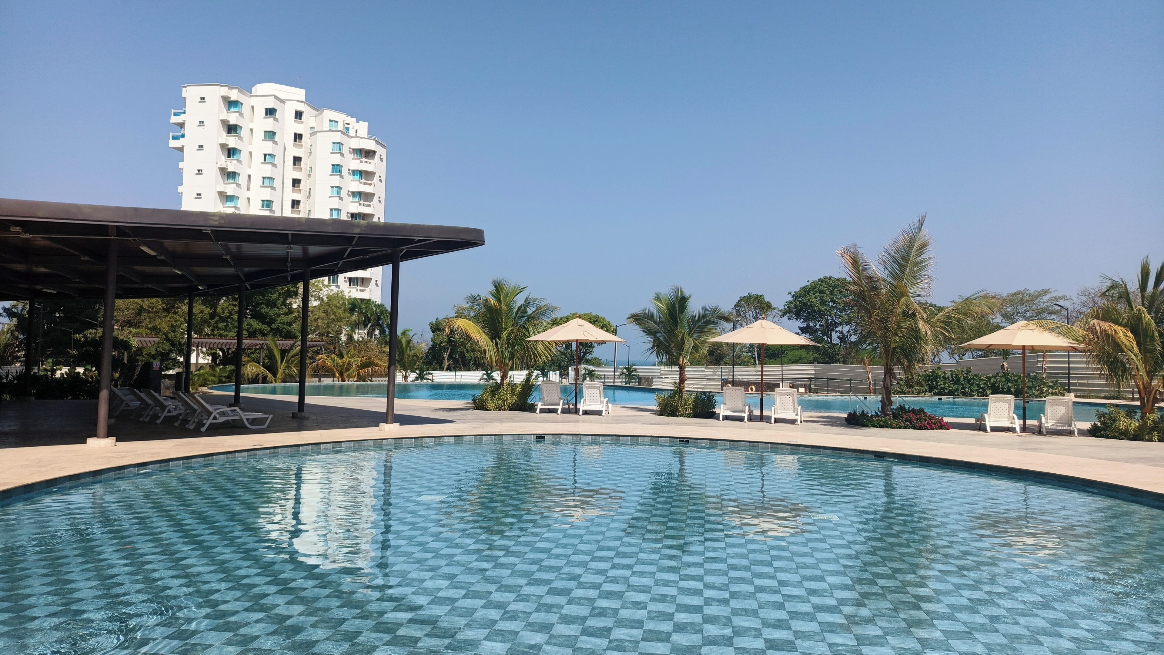A swimming pool with checkered tiles, lounge chairs, umbrellas, and palm trees.