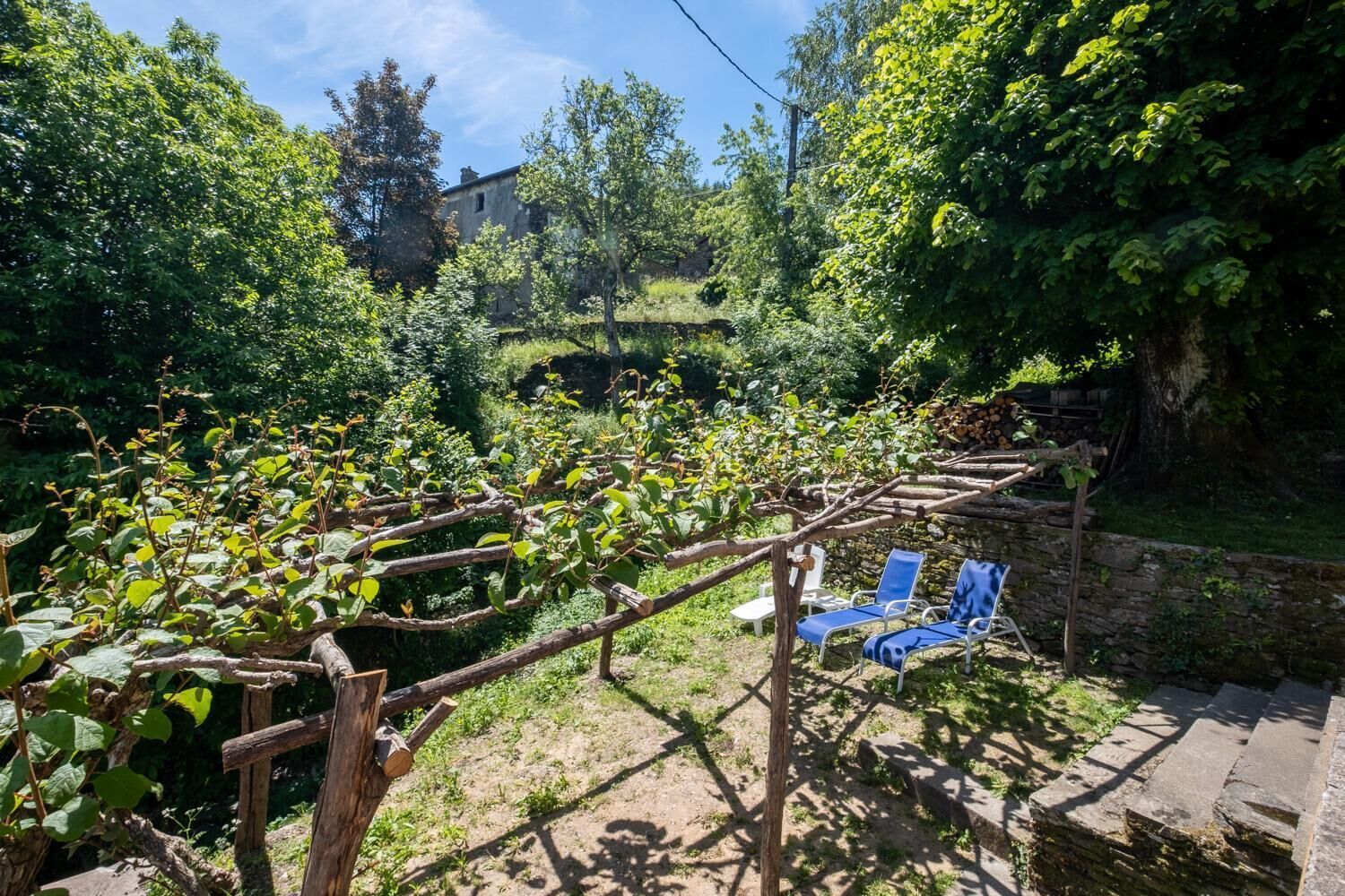 Viñedo con enrejados de madera y sillas azules.