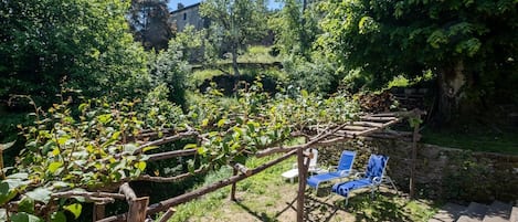 Een wijngaard met houten spaliërs en blauwe stoelen.