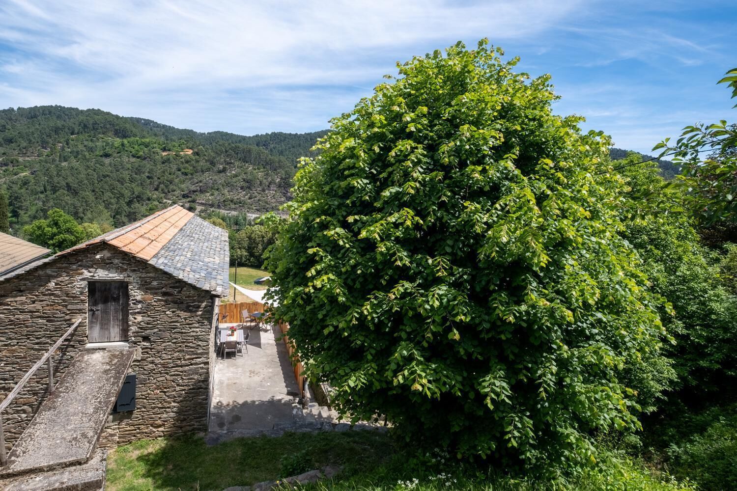 A stone building with a sloped roof, a small porch, and a large tree in the foreground.