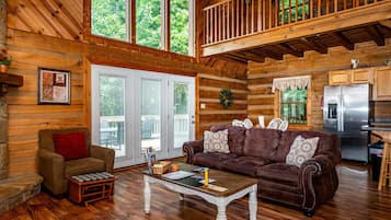TV, fireplace, DVD player, books