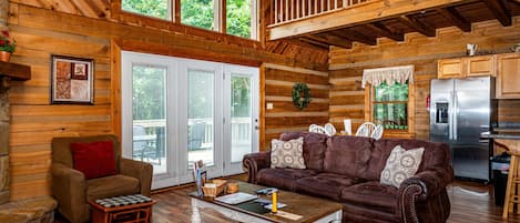 TV, fireplace, DVD player, books