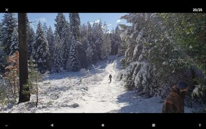 Sports d’hiver