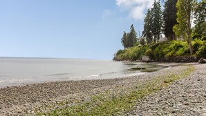 Une plage de galets, une mer calme, des arbres et un ciel dégagé.