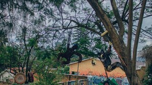 Un patio con muro de ladrillo, un cartel que dice 'Art Heals' y un mural en la pared.