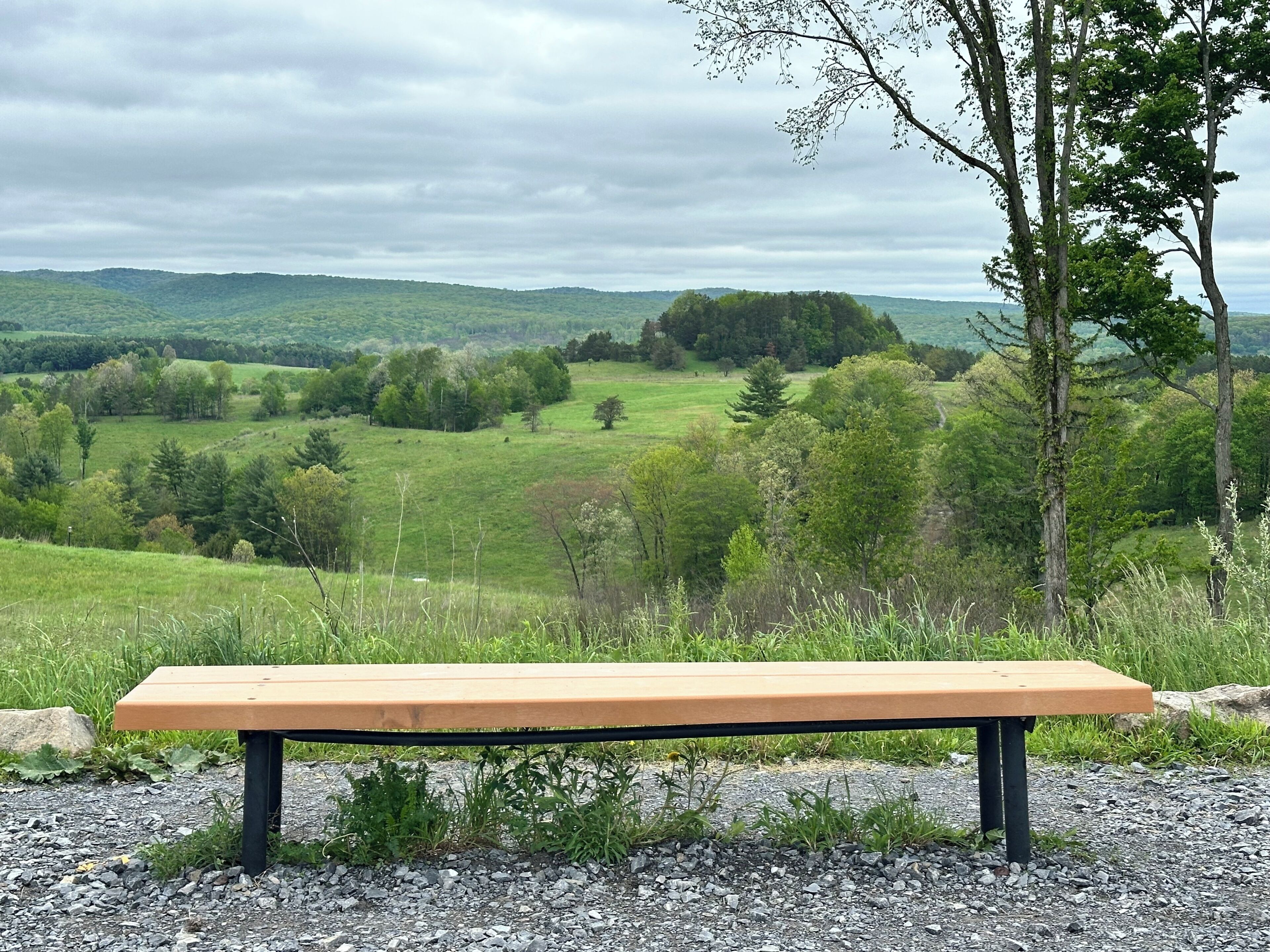 Terrain de l’hébergement 
