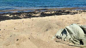 Une plage de sable avec des algues, une jetée en béton et un sac posé sur le sable.