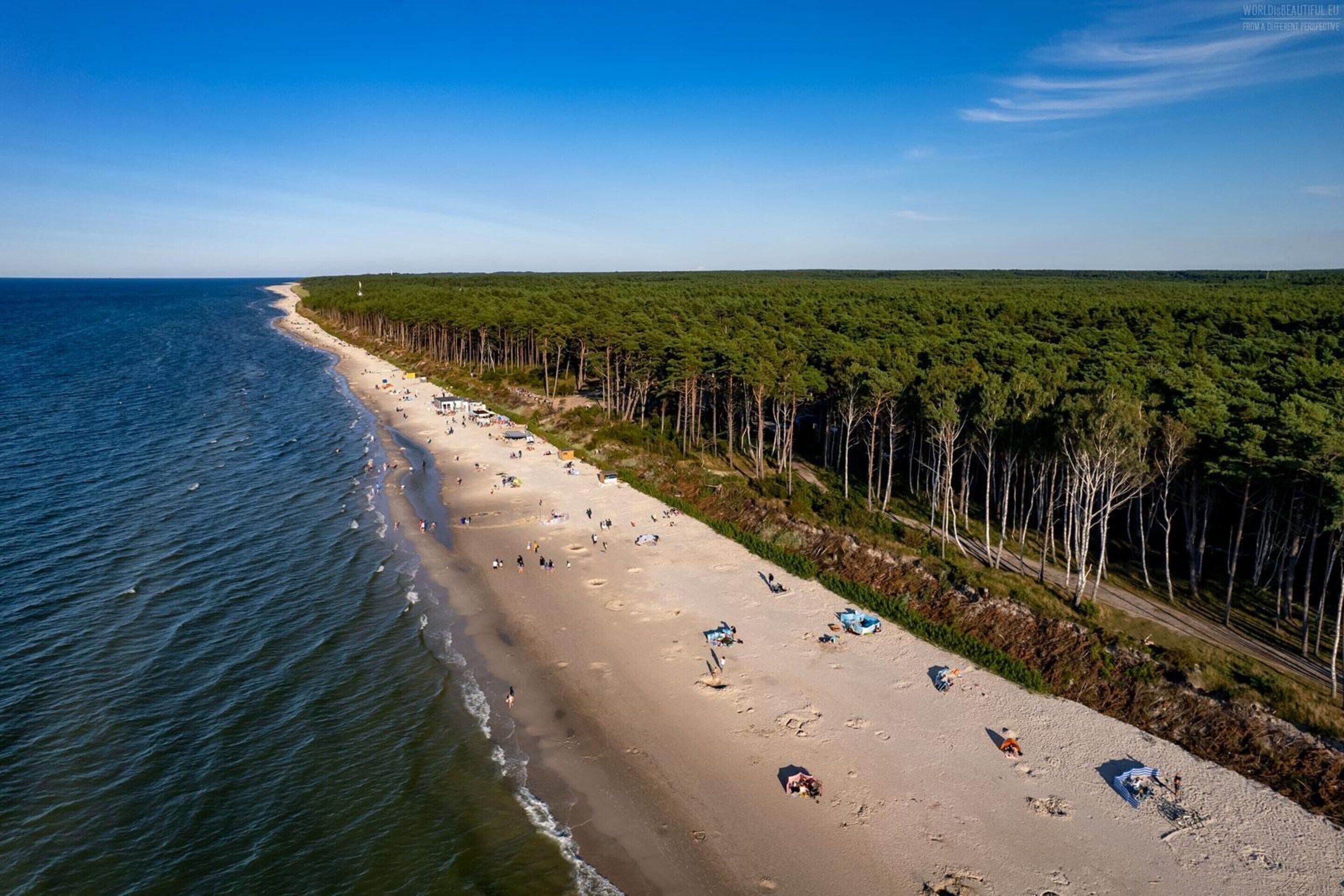 A beach with a forested area and a road parallel to the shore.