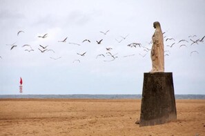 Miscellaneous - Me Lady's Cocoon 3-Star (Capbreton)