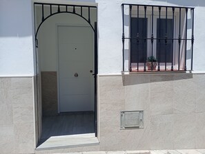 Une porte avec un portail en métal, un pot de fleurs sur le rebord de la fenêtre et un compteur d’eau fixé au mur.