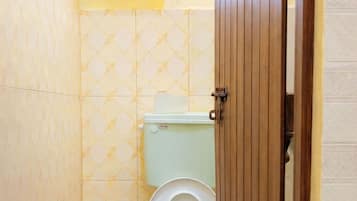 Shower, towels, soap, toilet paper
