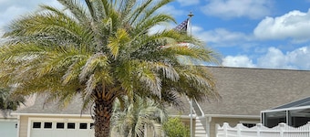 Sunshine Stay Merryweather at Lake Sumter Landing w/ Sparkling Private Pool /Spa