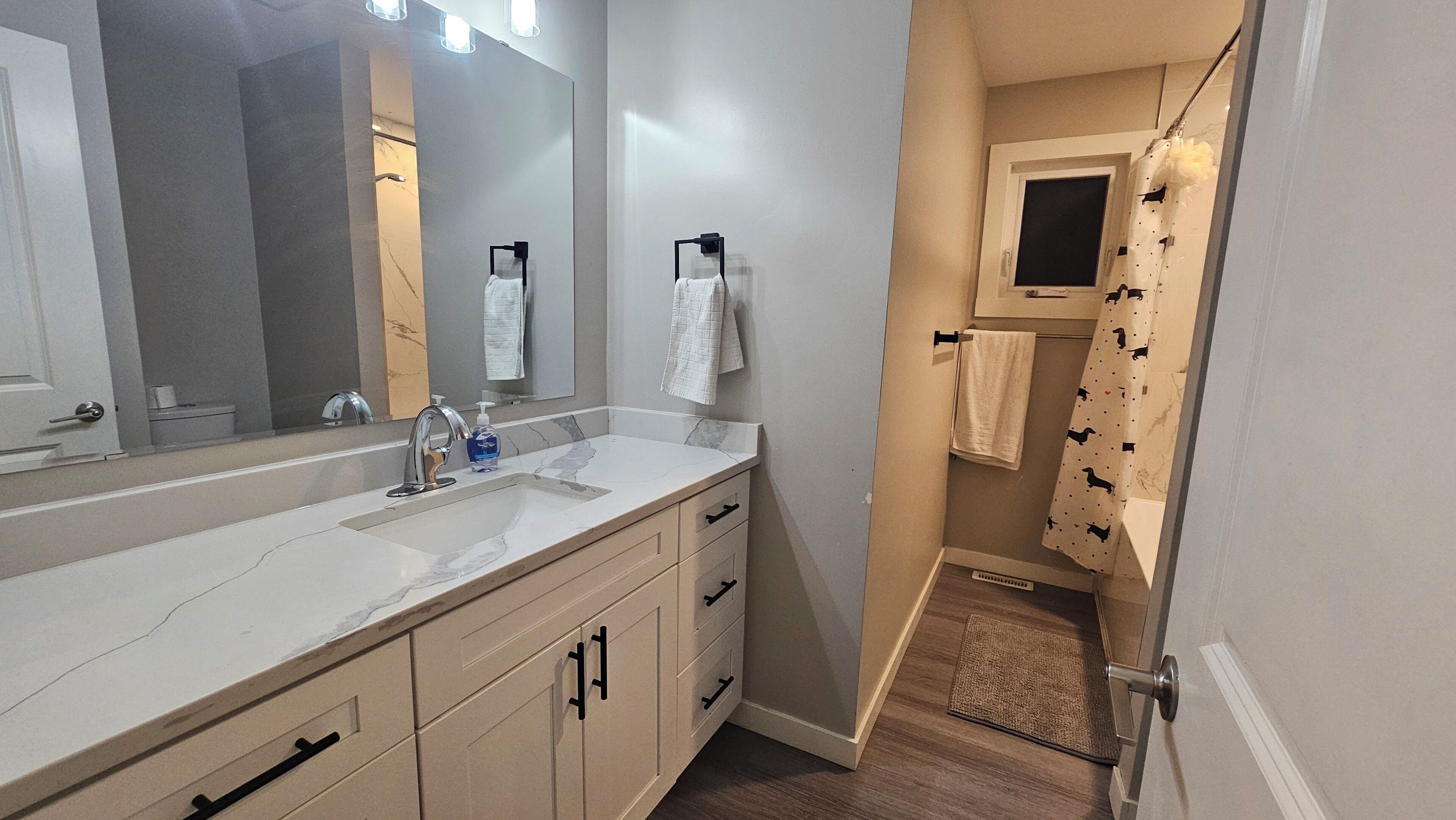 Hair dryer, towels, soap, toilet paper
