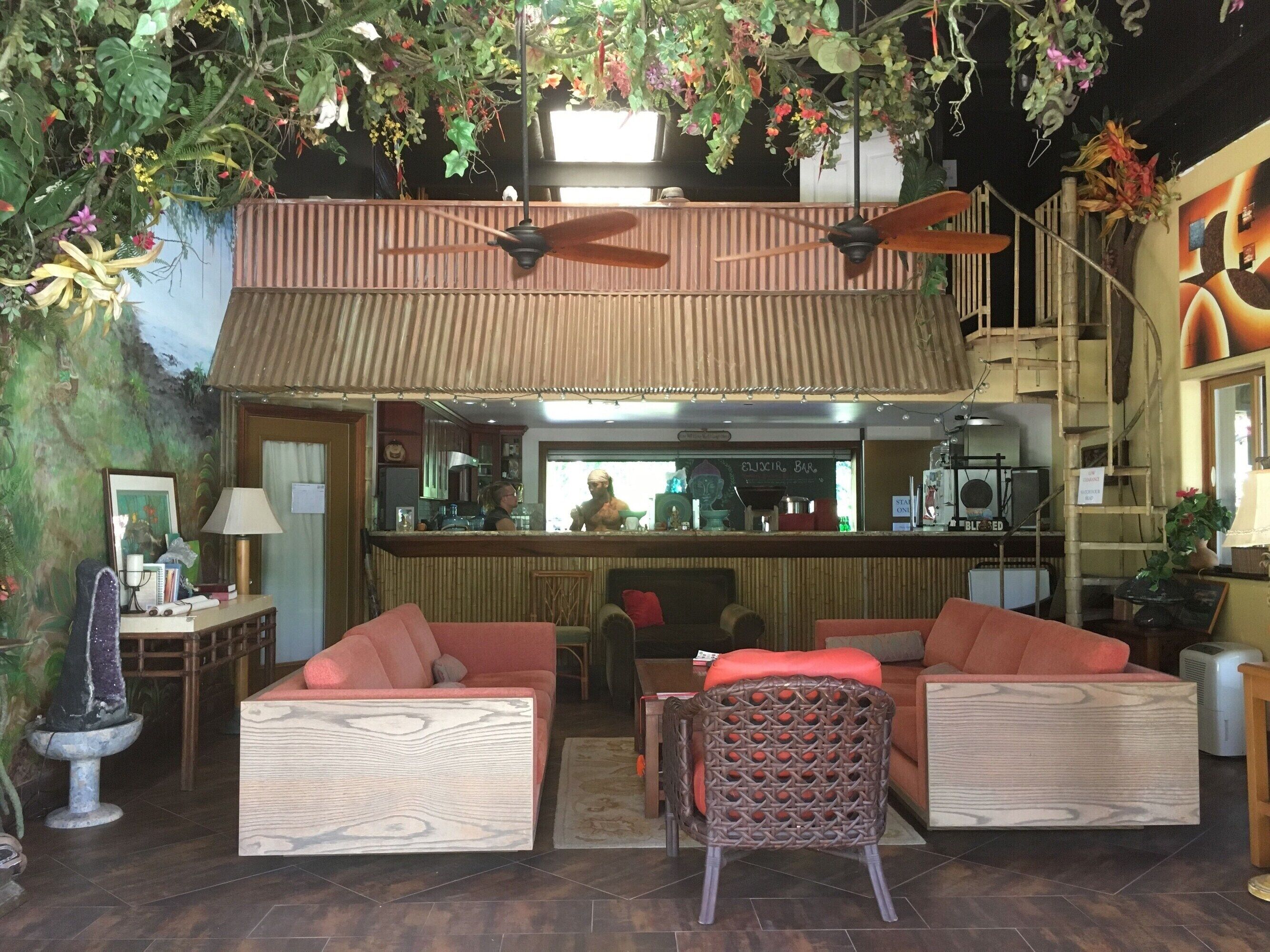 Un área de bar con muebles de madera, un rincón de descanso con sofás acolchados y un techo decorado con plantas colgantes.