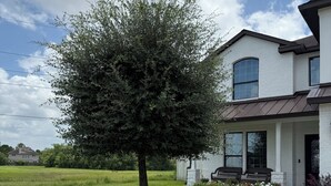 Une maison d’habitation avec une pelouse bien entretenue, un grand arbre et une allée menant au porche d’entrée.